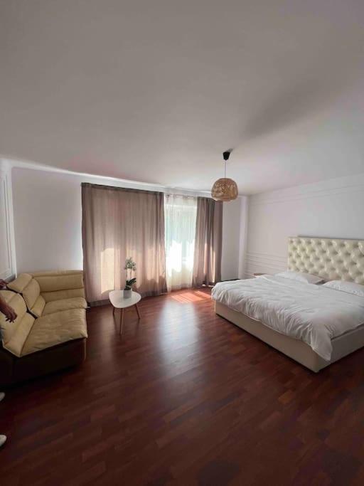 Hidden Gem Apartment In The Center Of The City ブラショフ エクステリア 写真